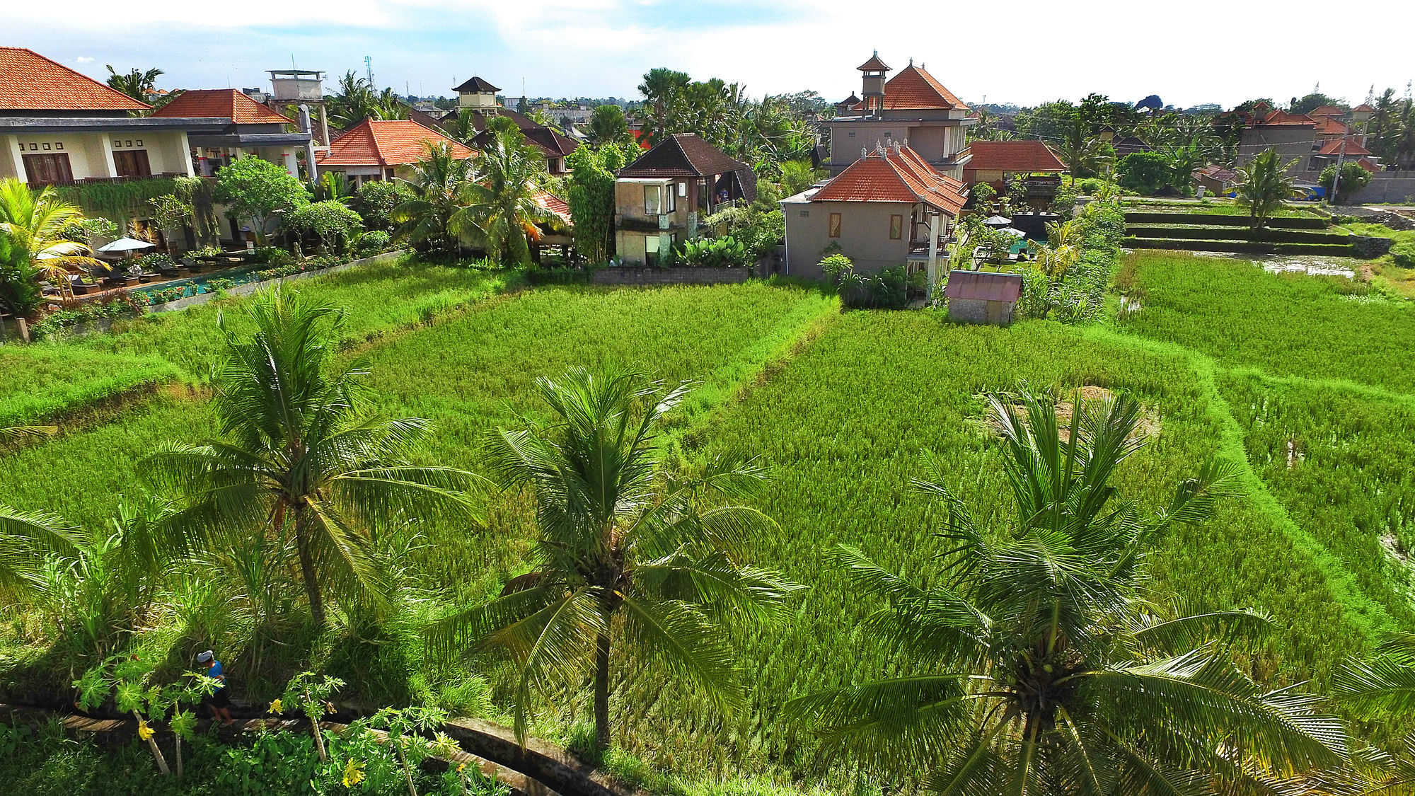 Bisma Cottages Ubud Eksteriør billede